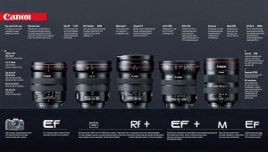 The Truth About Canon Lenses: Are They All Compatible?