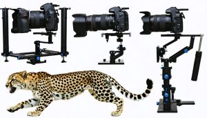 A visually engaging representation of diverse camera suspension systems in various scenarios: a gimbal stabilizer tracking a sprinting cheetah, a Steadicam capturing a wedding reception, and a spring-loaded stabilizer used in macro photography.