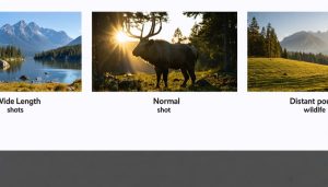 How Focal Length Transforms Your Photos (Master Composition Like a Pro)