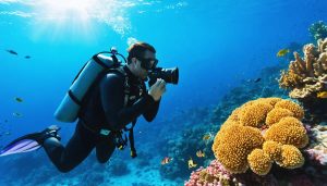 Underwater photographer capturing vibrant coral reefs and marine life with professional camera equipment in sunlit ocean.