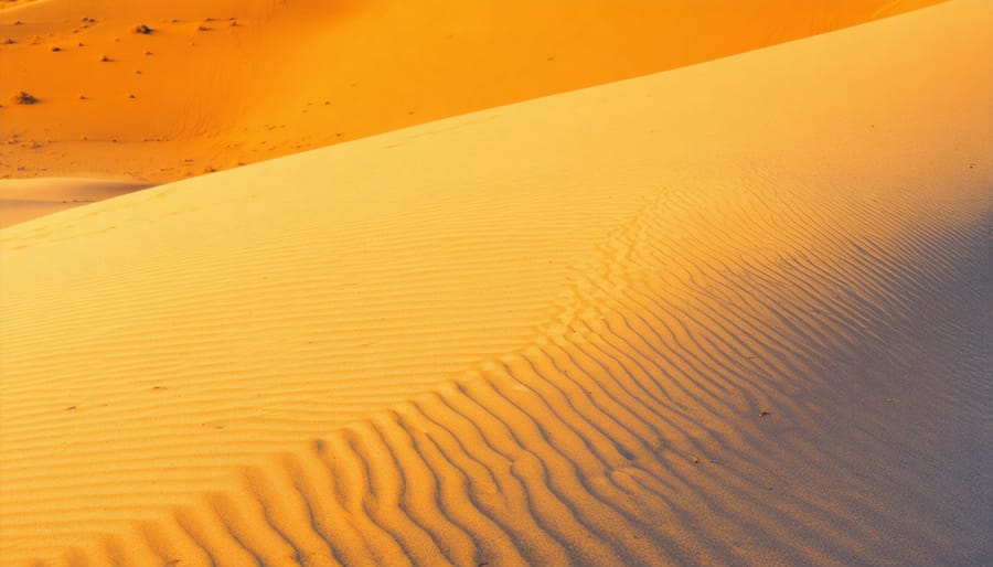 Abstract curves and shadows of desert sand dunes captured with telephoto lens